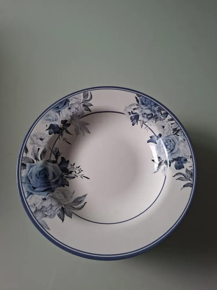 JOGO DE PRATO FUNDO C/ 06 PORCELANA DECORADO 26CM - ALLEANZA